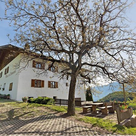 Moar Im Rumsein - Apt Saltenblick Terlano Exteriör bild